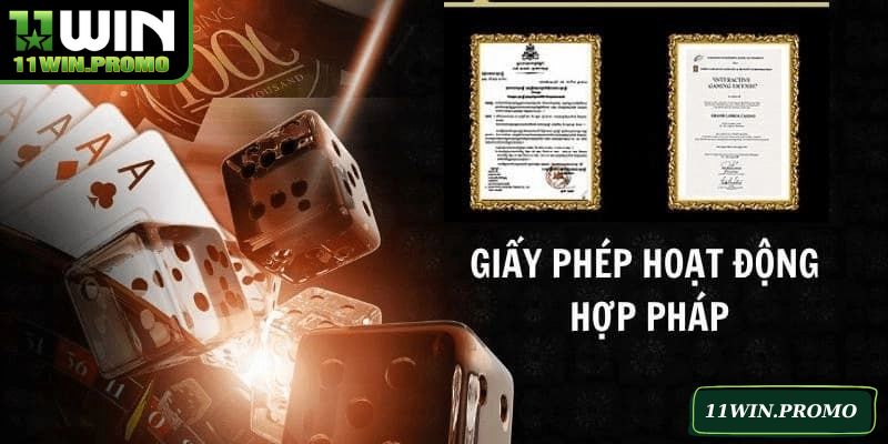 Giấy phép hoạt động cam kết tuân thủ quy định chuẩn quốc tế